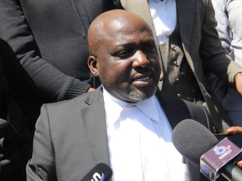 Rais wa Chama cha Wanasheria Tanganyika (TLS) Wakili Boniface Mwabukusi