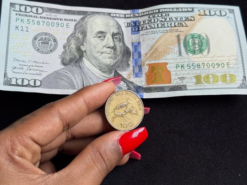 Rosa Ree Auliza Swali Gumu Kuhusu Thamani ya Pesa Yetu, Madini ni yetu Kwanini Pesa yetu iwe Chini?