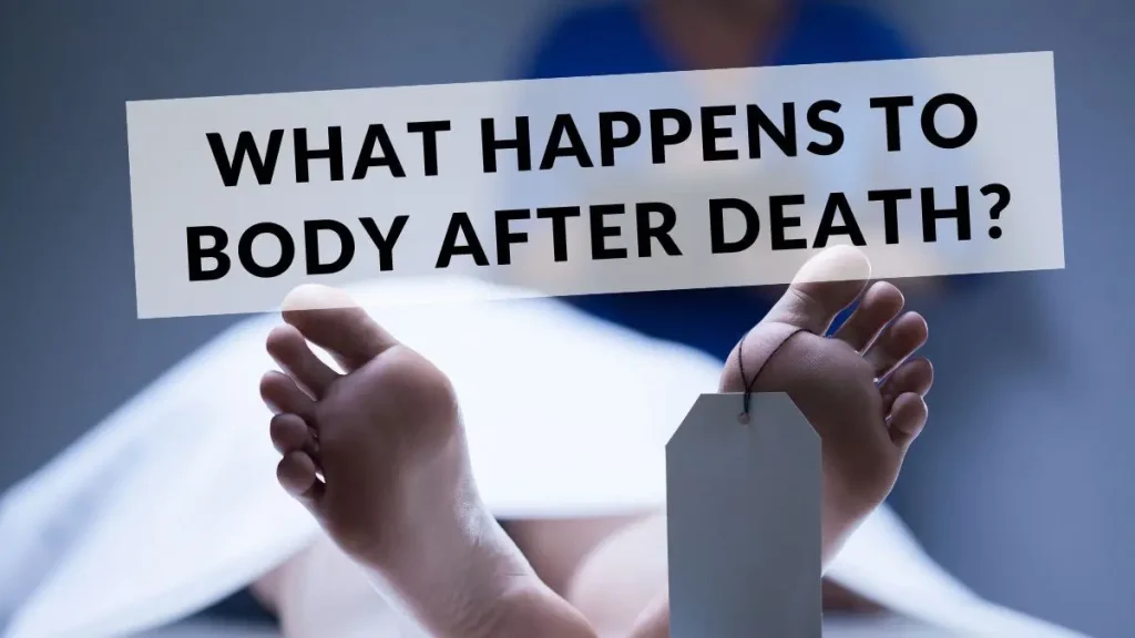 What Happens When Someone Dies: Key Medical and Biological Facts